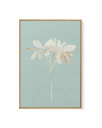 Midnight Afterglow | Framed Canvas Art Print from Olive et Oriel where you can shop wallpaper and artworks online