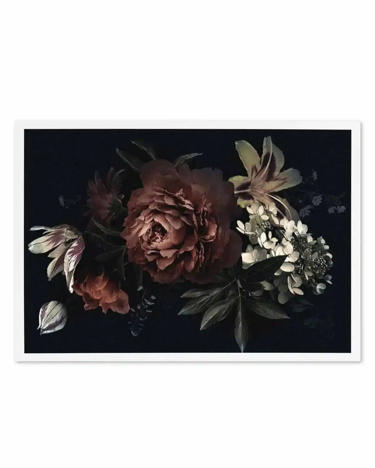 Midnight Botanica Illustration LS Art Print from Olive et Oriel where you can shop wallpaper and artworks online