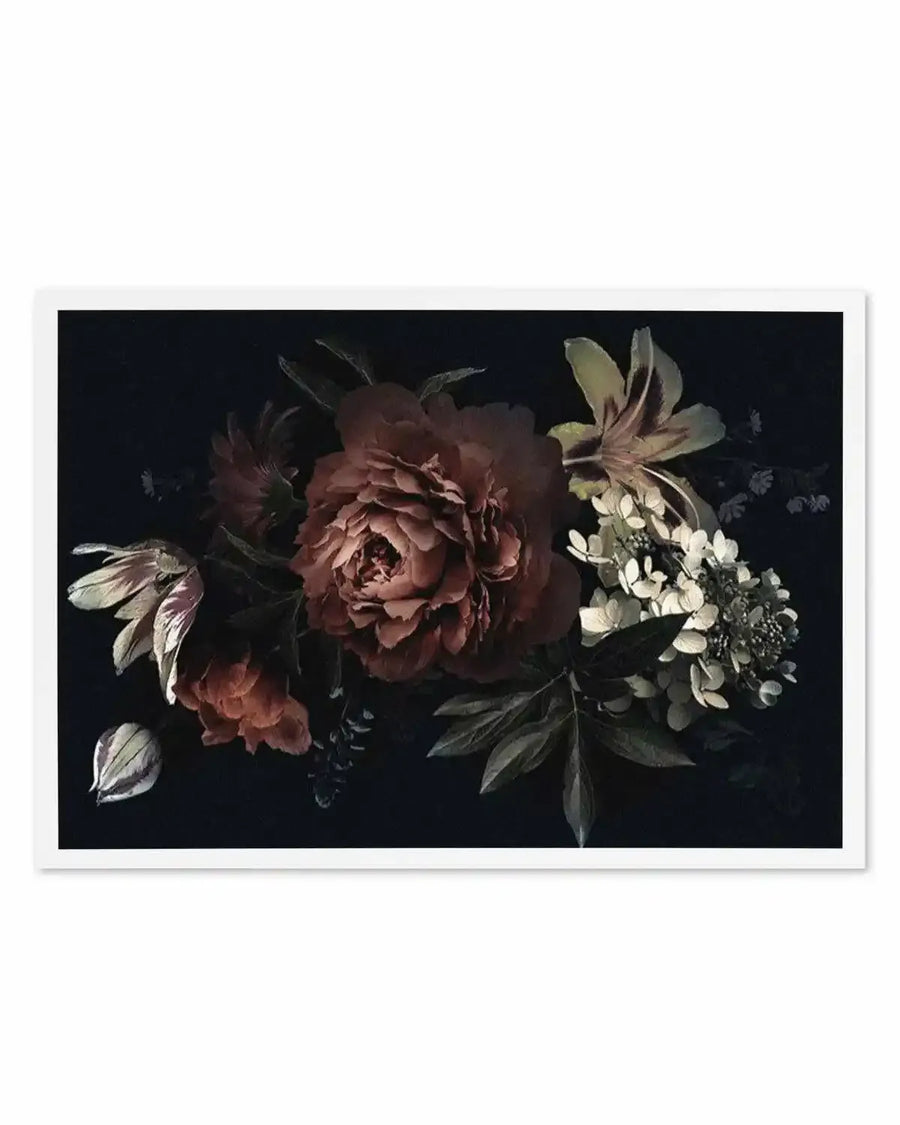Midnight Botanica Illustration LS Art Print nature art print