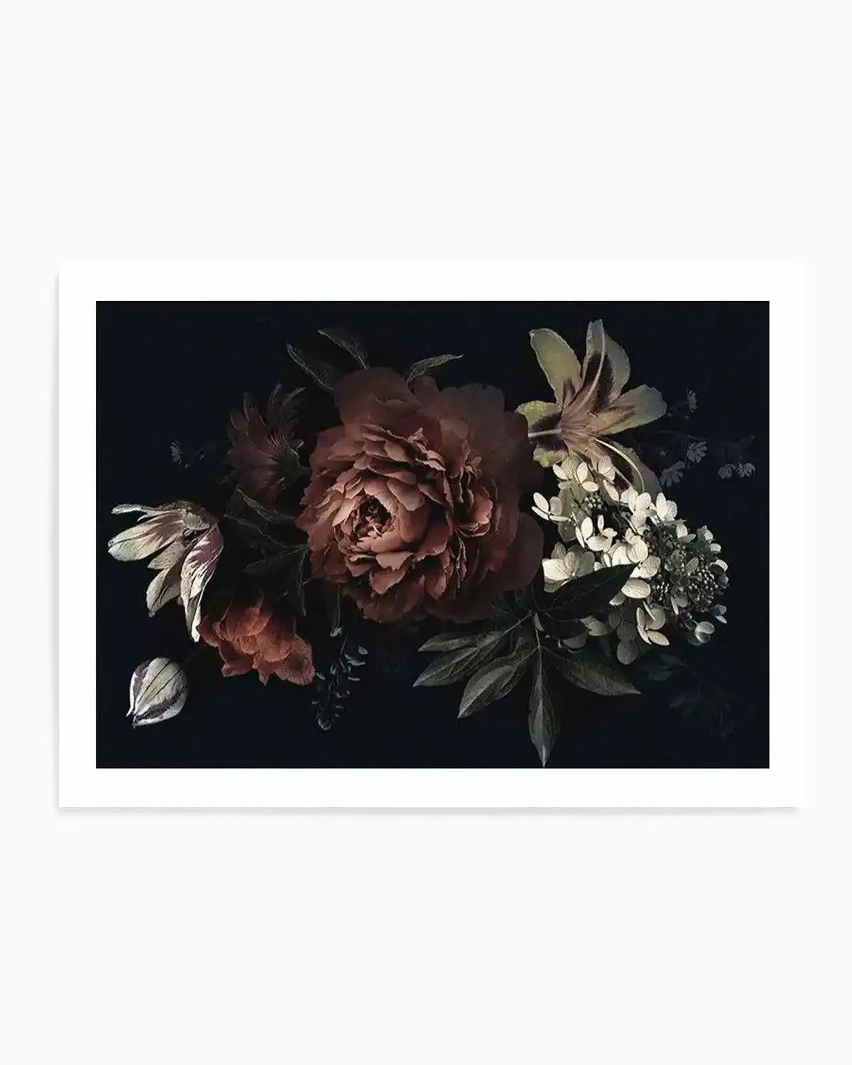 Midnight Botanica Illustration LS Art Print from Olive et Oriel where you can shop wallpaper and artworks online