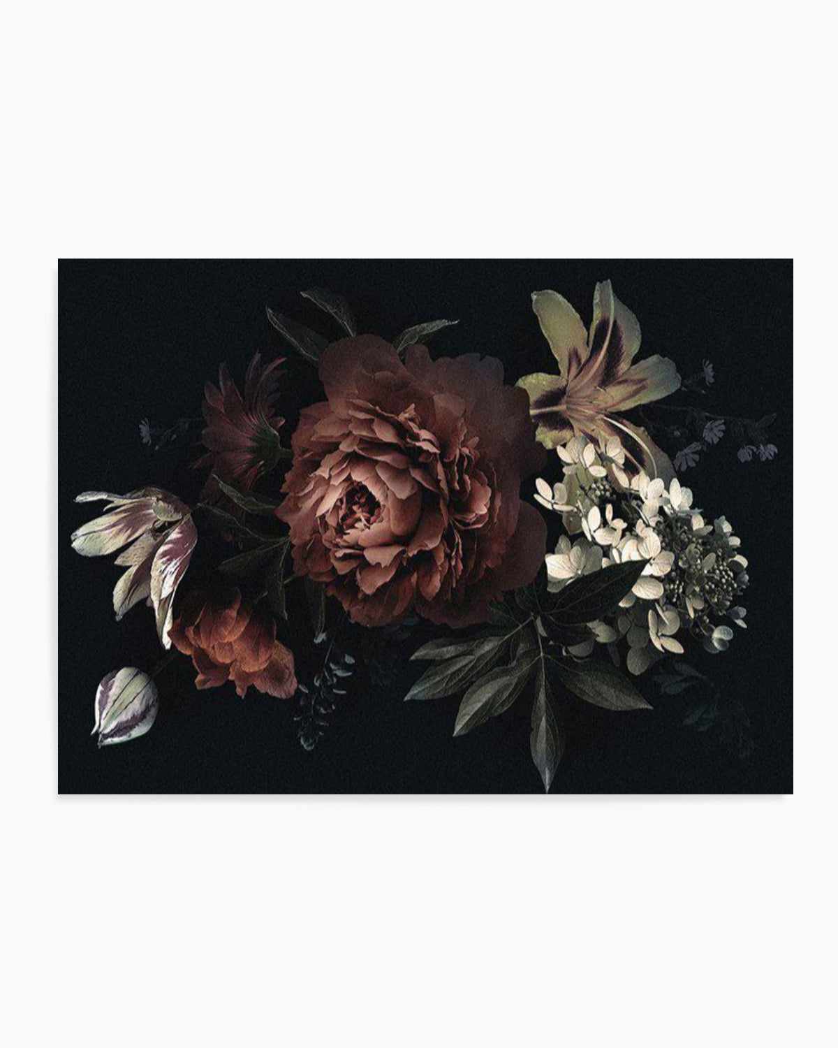 Midnight Botanica Illustration LS Art Print