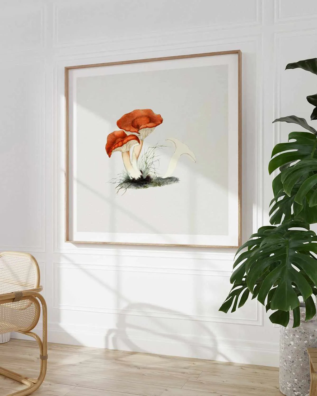 Milkcap Mushroom Vintage Illustration Art Print from Olive et Oriel where you can shop wallpaper and artworks online