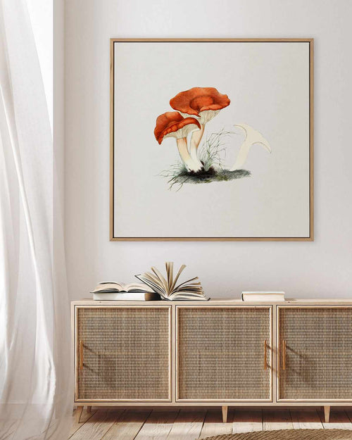Milkcap Mushroom Vintage Illustration | Framed Canvas Art Print