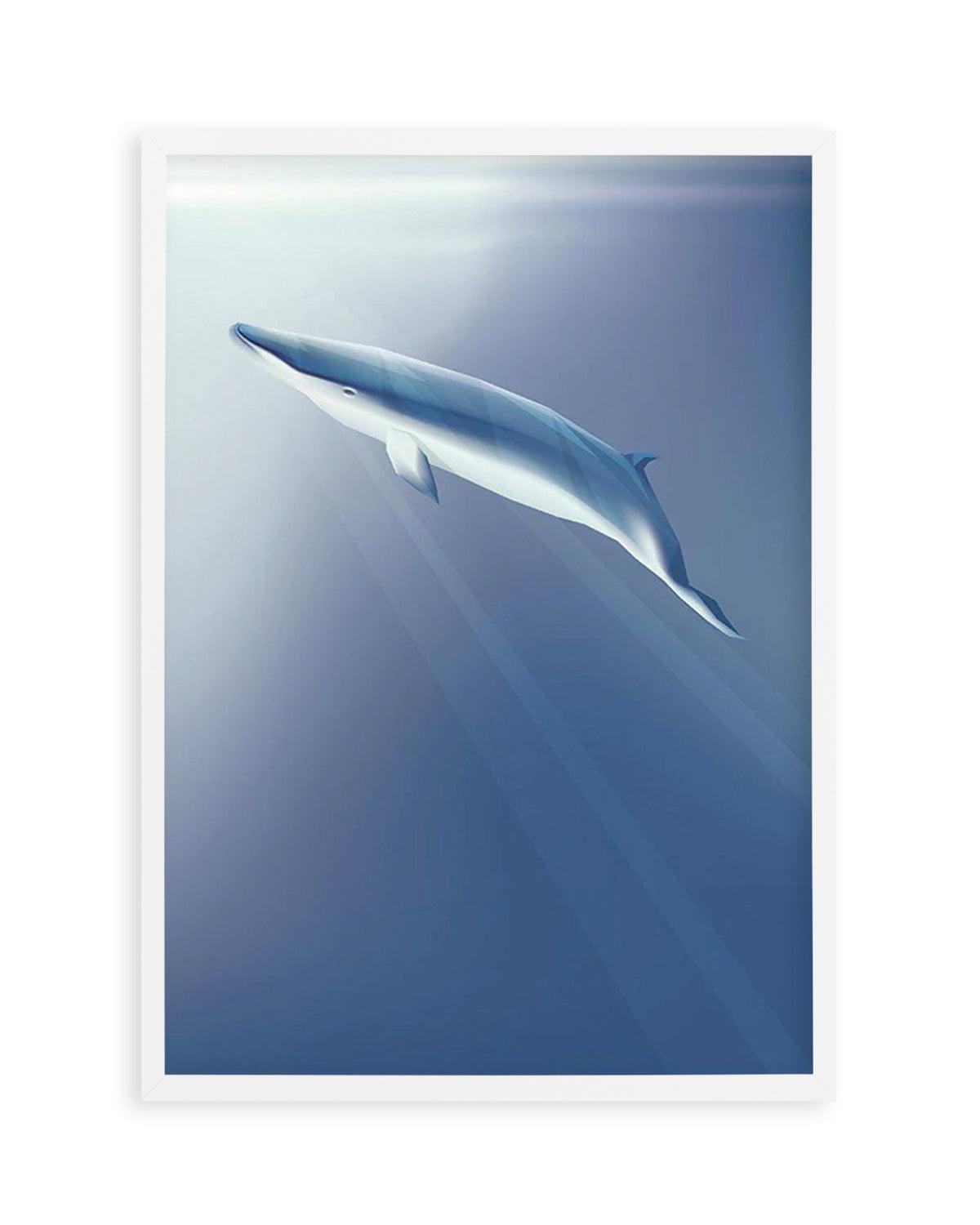 Minke | Graphic Whales Collection Art Print