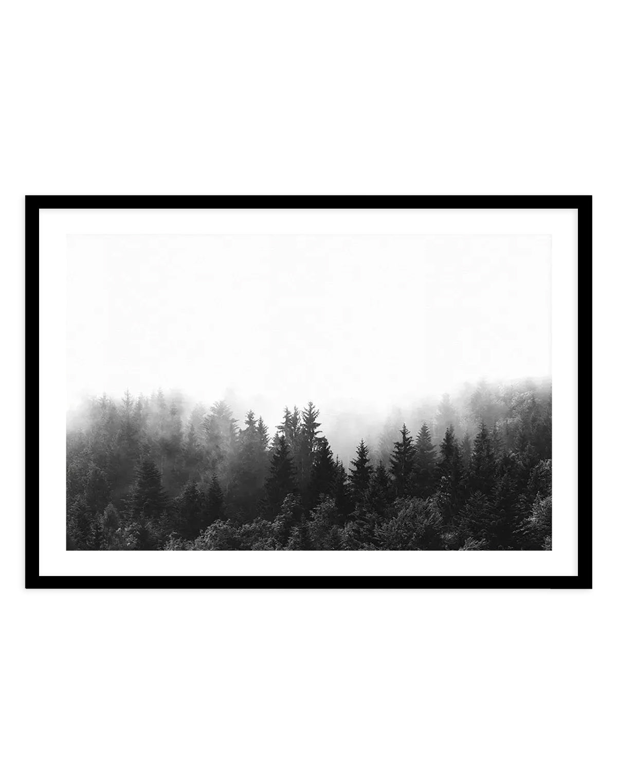 Misty Forest B&W  LS art print, framed