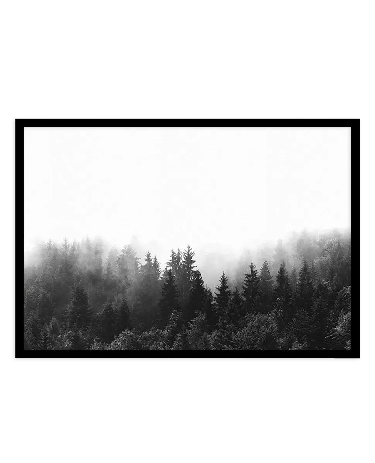 Misty Forest B&W  LS art print, framed