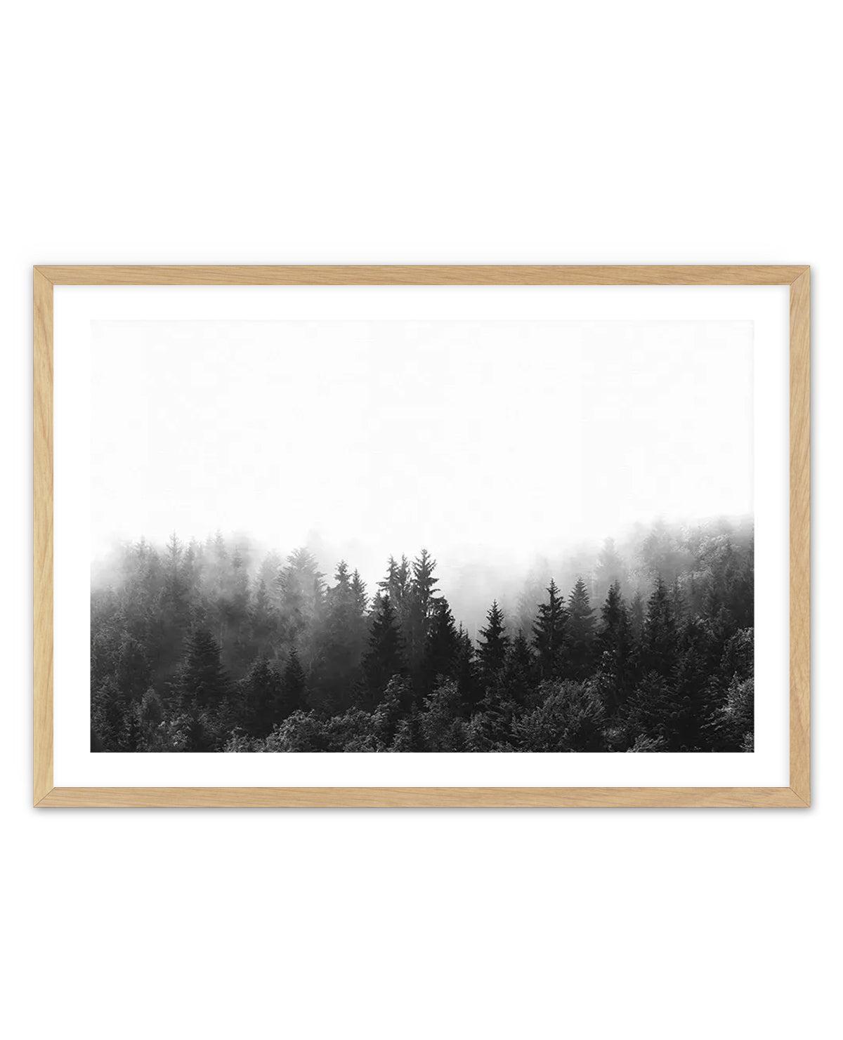 Black and white landscape photograph showing a misty forest of evergreen trees in layers receding into fog. The composition features silhouetted coniferous trees in sharp detail in the foreground, transitioning to progressively hazier trees in the middle ground, with dense fog obscuring the background. The image is mounted in a natural wood frame with a white border, creating a clean, minimalist presentation of the moody, atmospheric forest scene.