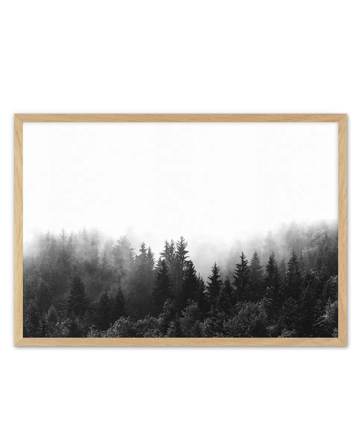 Framed black and white photograph of a dense forest shrouded in mist, with a natural wood frame and white border. The composition features tall evergreen trees in varying shades of dark grey and black, with the upper half of the image dominated by a soft, ethereal white mist that obscures the tops of the trees and the sky.