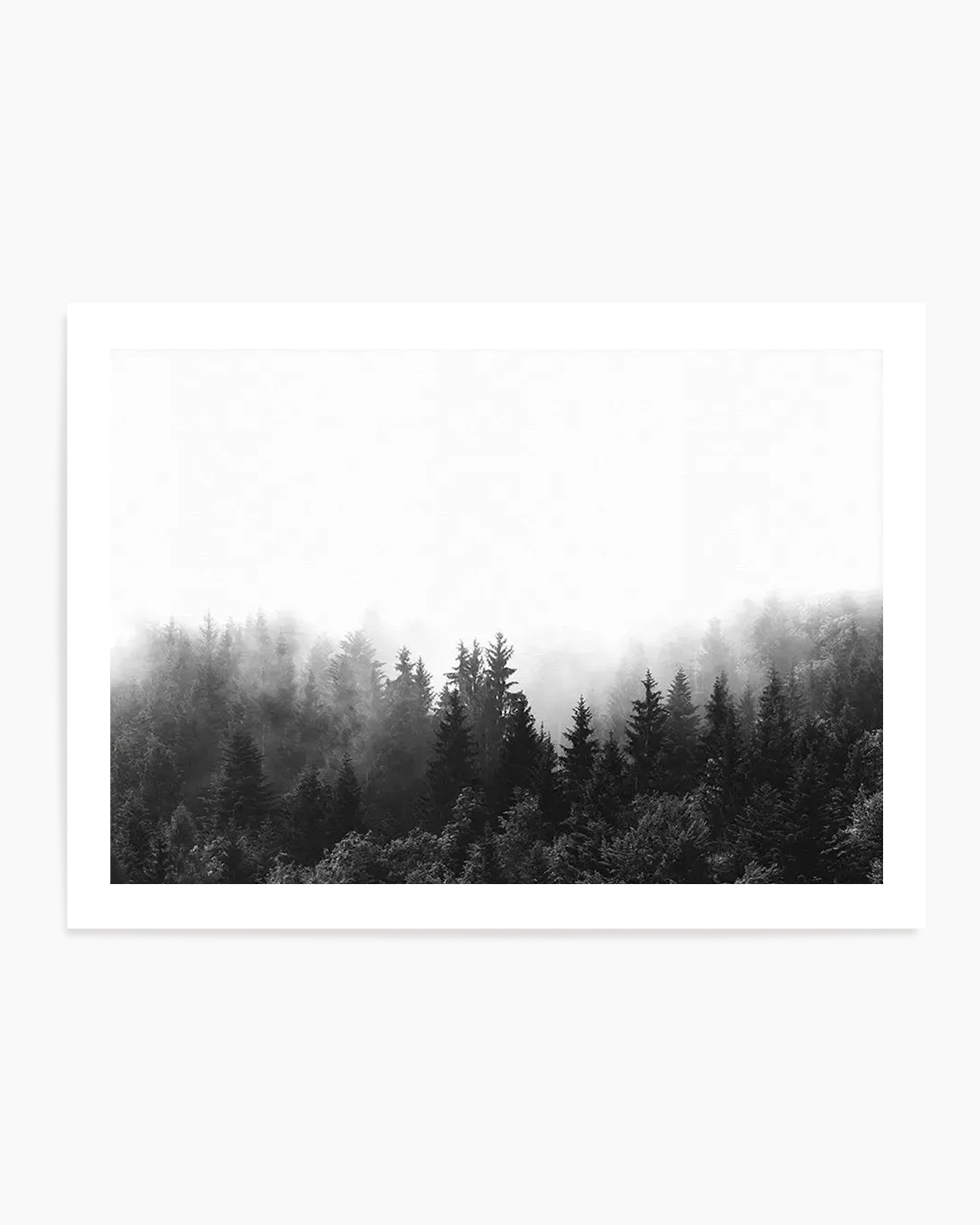 Black and white landscape photograph of a misty evergreen forest. Coniferous trees including spruce and pine fill the composition, with taller trees standing prominently in the center. Dense fog obscures the background, creating layers of diminishing visibility from foreground to horizon. The image has high contrast between the dark silhouettes of trees and the pale, overexposed sky and mist. The photograph is mounted on a white border within a white frame, displayed as a horizontal art print.