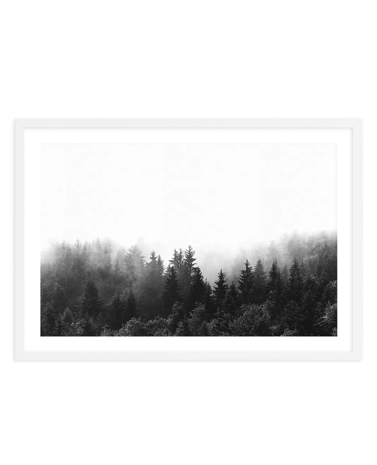 Black and white framed art print featuring a misty forest landscape. Dense coniferous trees, including tall evergreens and spruces, fade into heavy fog in the background. The photograph captures a moody, atmospheric scene with sharp detail in the foreground trees gradually becoming obscured by mist. The image is mounted in a white frame with a white border against a clean white background, emphasizing the monochromatic nature of this minimalist nature photograph.