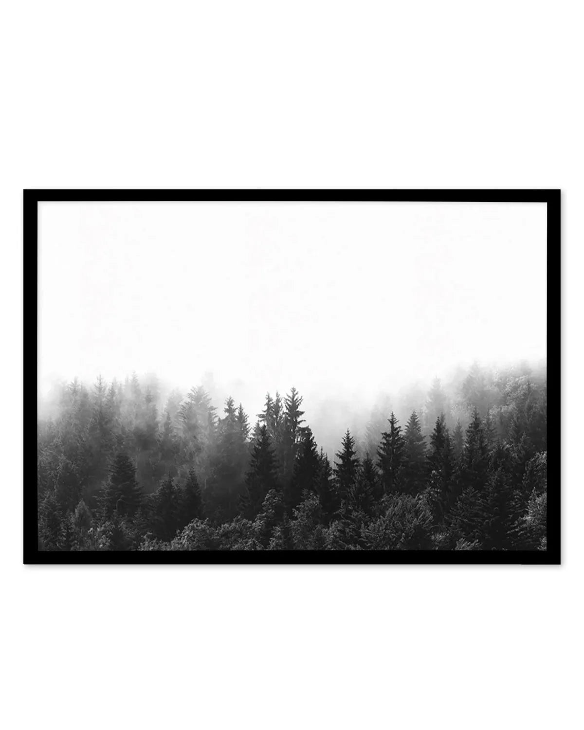 Misty Forest B&W | LS from Olive et Oriel where you can shop wallpaper and artworks online