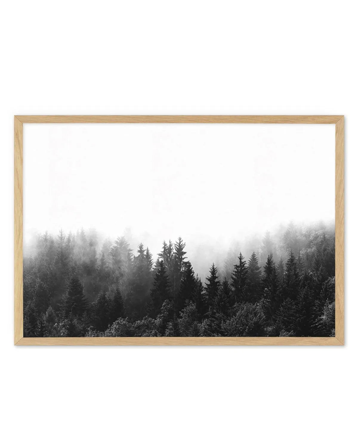 Misty Forest B&W | LS from Olive et Oriel where you can shop wallpaper and artworks online