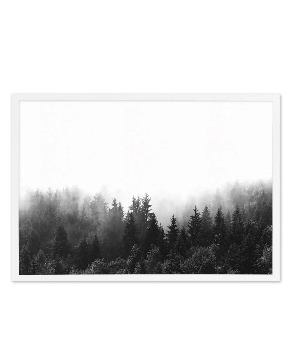 Misty Forest B&W | LS from Olive et Oriel where you can shop wallpaper and artworks online