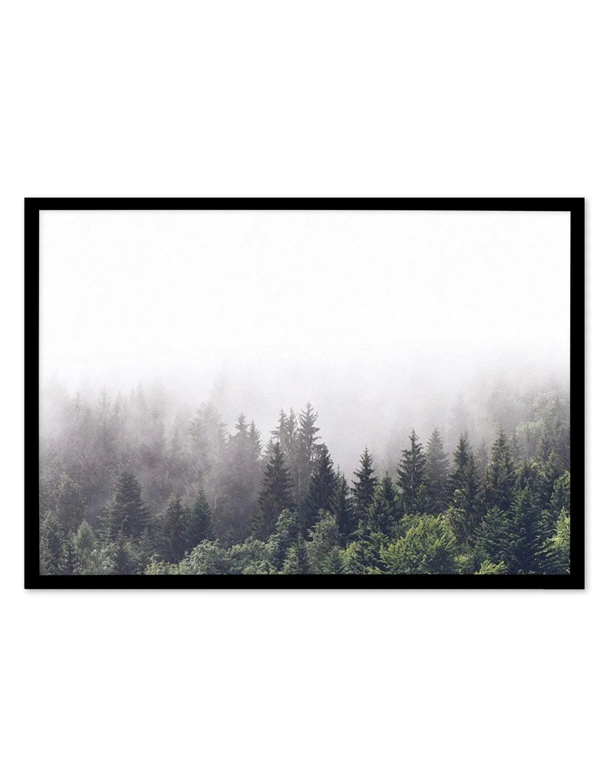 Misty Forest LS from Olive et Oriel where you can shop wallpaper and artworks online