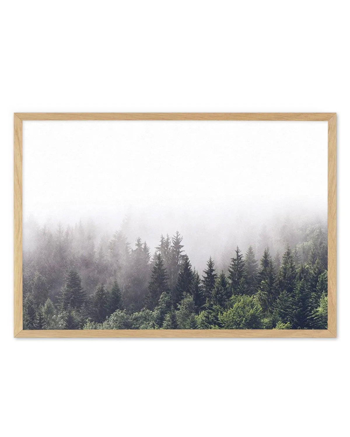 Misty Forest LS from Olive et Oriel where you can shop wallpaper and artworks online