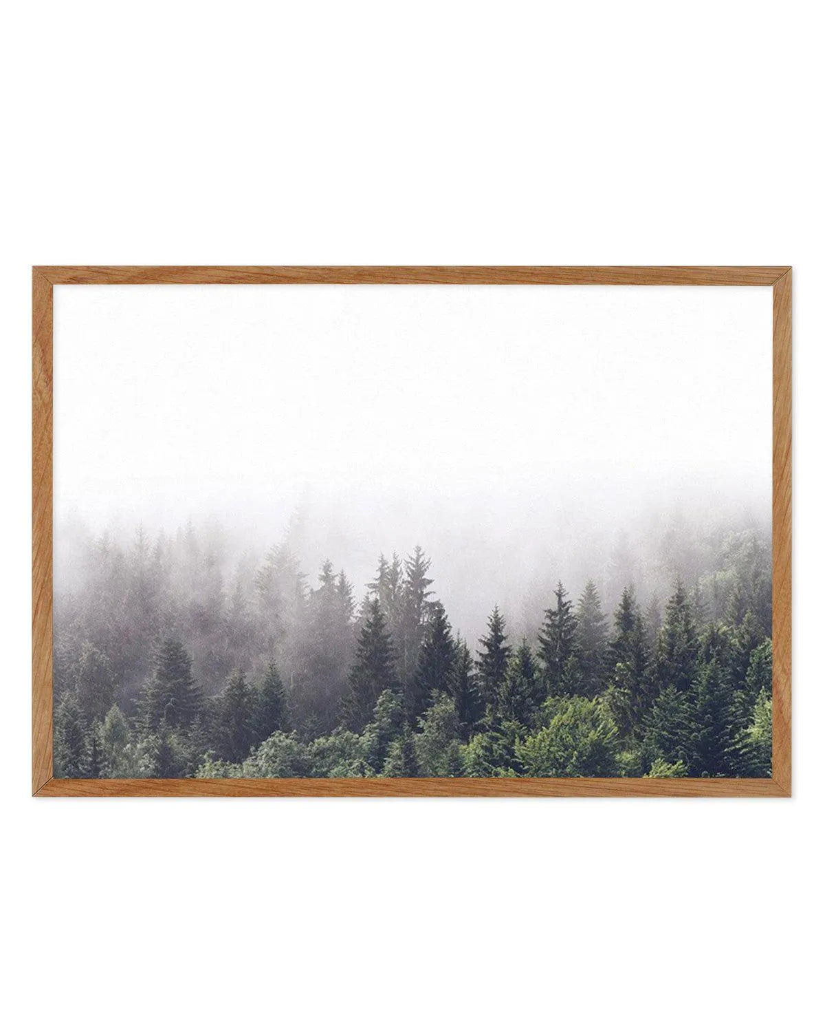 Misty Forest LS from Olive et Oriel where you can shop wallpaper and artworks online