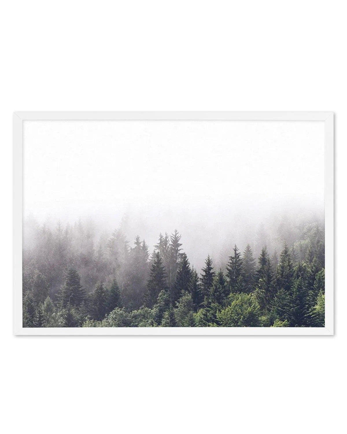 Misty Forest LS from Olive et Oriel where you can shop wallpaper and artworks online