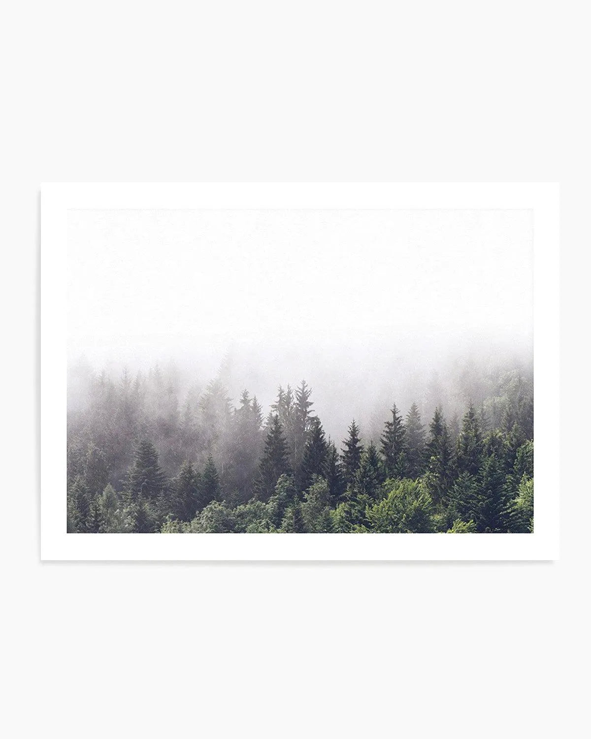 Misty Forest LS from Olive et Oriel where you can shop wallpaper and artworks online