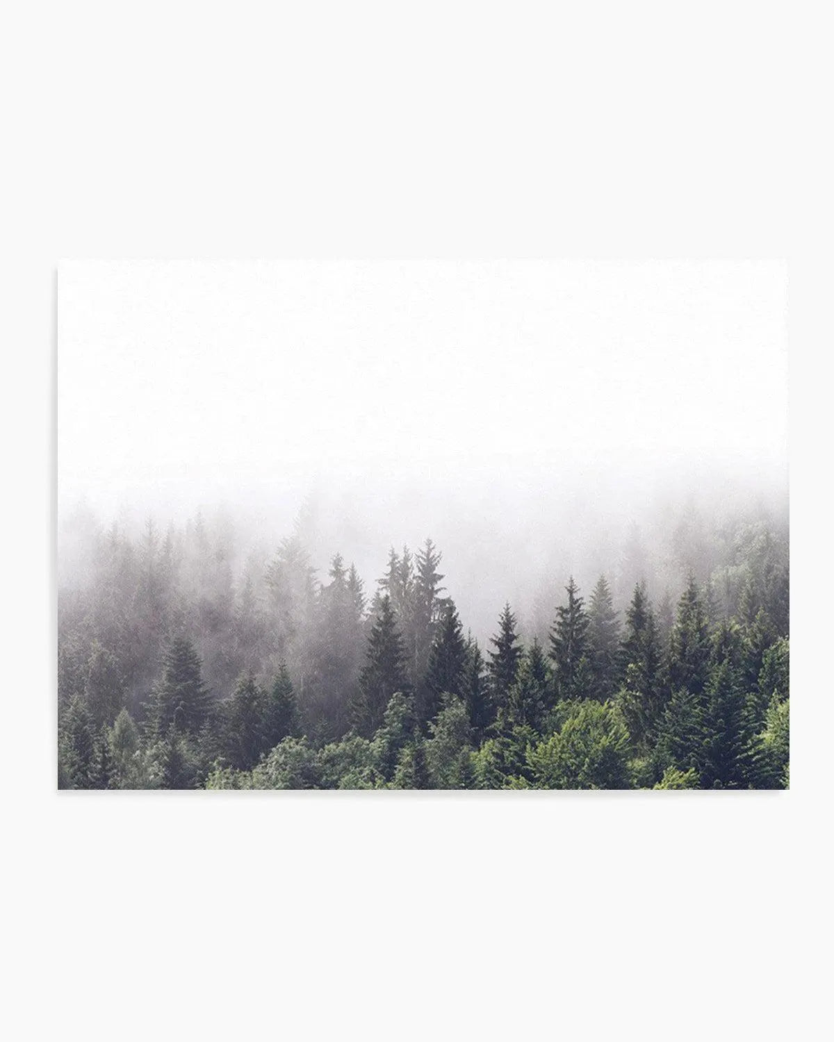 Misty Forest LS from Olive et Oriel where you can shop wallpaper and artworks online