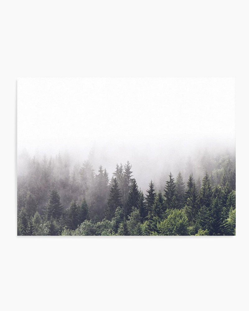 Misty Forest LS