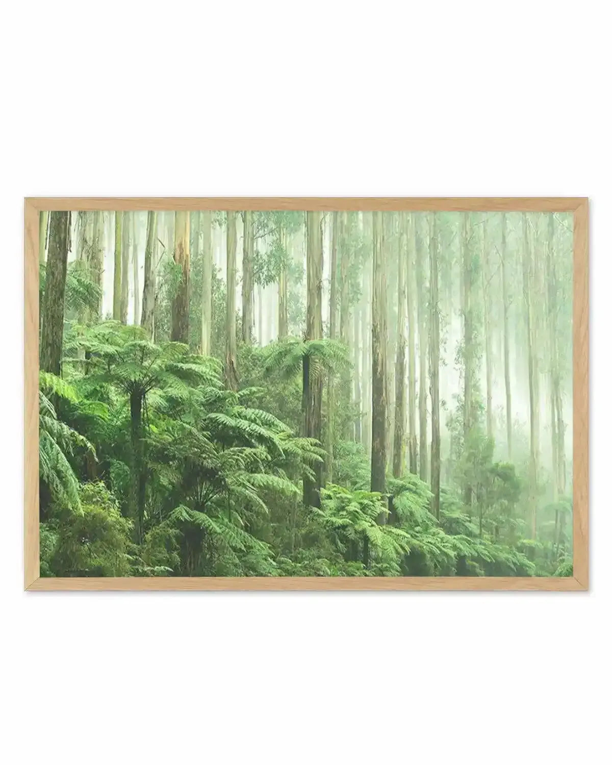 Misty Forest, Healesville Victoria Art Print from Olive et Oriel where you can shop wallpaper and artworks online