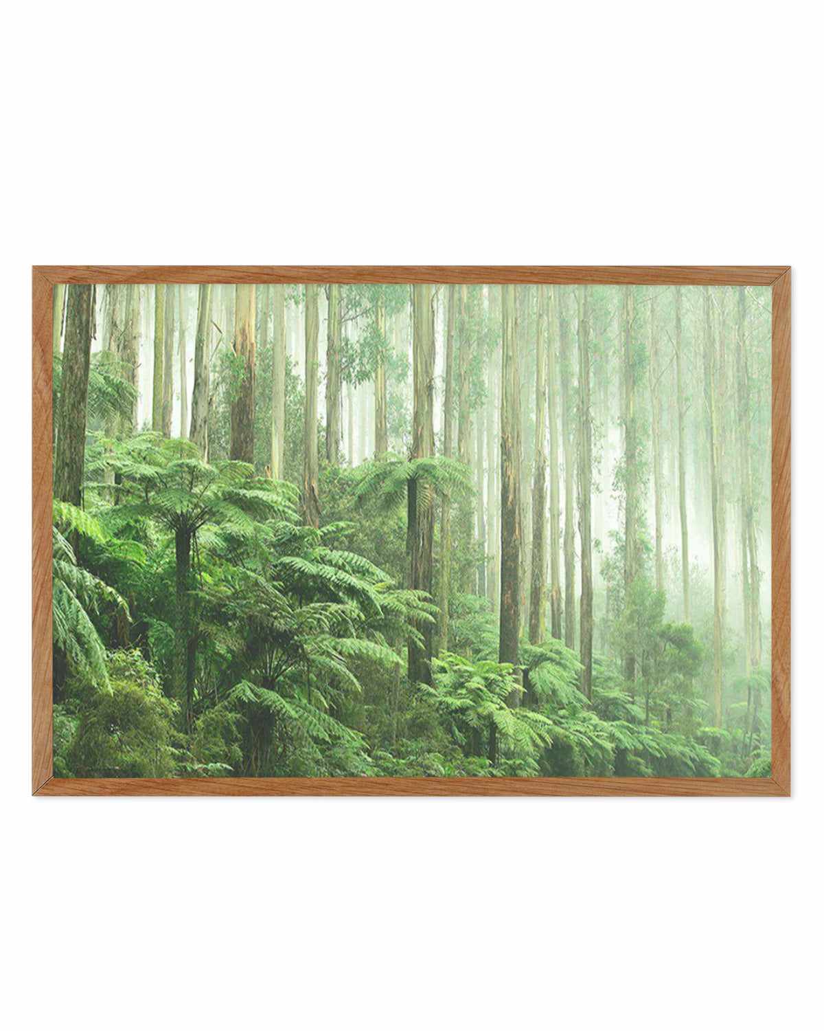 Misty Forest, Healesville Victoria Art Print