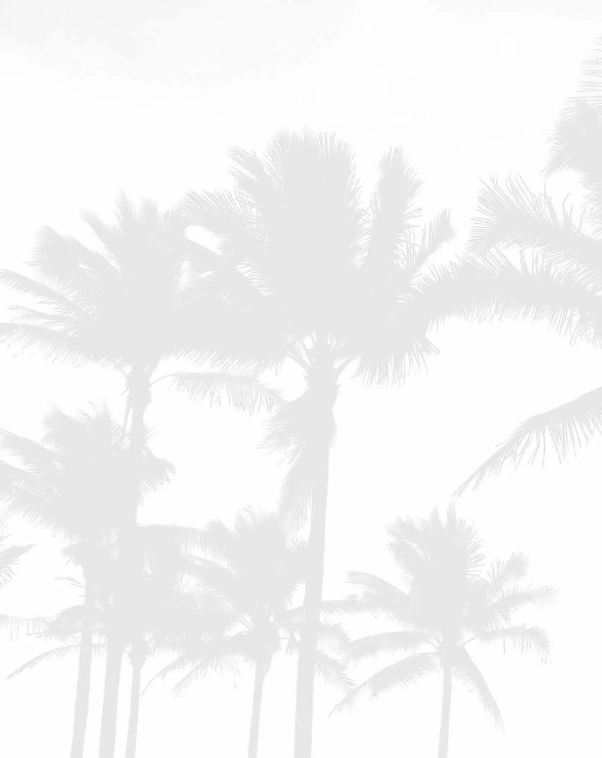 Misty Palms Wallpaper Mural-Wallpaper-Buy Kids Removable Wallpaper Online Our Custom Made Children√¢‚Ç¨‚Ñ¢s Wallpapers Are A Fun Way To Decorate And Enhance Boys Bedroom Decor And Girls Bedrooms They Are An Amazing Addition To Your Kids Bedroom Walls Our Collection of Kids Wallpaper Is Sure To Transform Your Kids Rooms Interior Style From Pink Wallpaper To Dinosaur Wallpaper Even Marble Wallpapers For Teen Boys Shop Peel And Stick Wallpaper Online Today With Olive et Oriel