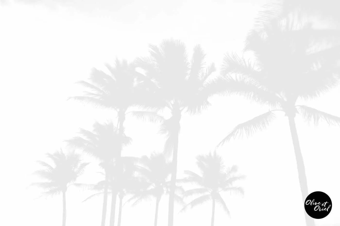 Misty Palms Wallpaper Mural-Wallpaper-Buy Kids Removable Wallpaper Online Our Custom Made Children√¢‚Ç¨‚Ñ¢s Wallpapers Are A Fun Way To Decorate And Enhance Boys Bedroom Decor And Girls Bedrooms They Are An Amazing Addition To Your Kids Bedroom Walls Our Collection of Kids Wallpaper Is Sure To Transform Your Kids Rooms Interior Style From Pink Wallpaper To Dinosaur Wallpaper Even Marble Wallpapers For Teen Boys Shop Peel And Stick Wallpaper Online Today With Olive et Oriel