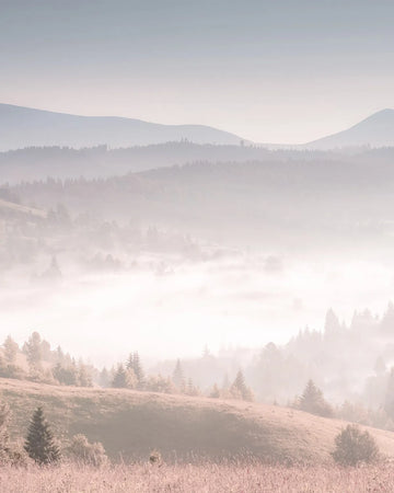 Misty Pastures Photo Mural Wallpaper from Olive et Oriel where you can shop wallpaper and artworks online