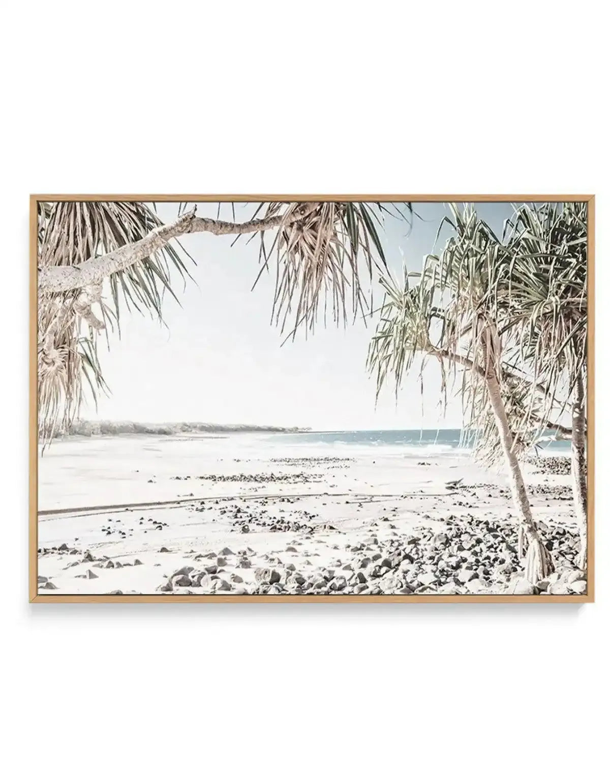 Mon Repos Beach, Bundaberg | Framed Canvas-CANVAS-You can shop wall art online with Olive et Oriel for everything from abstract art to fun kids wall art. Our beautiful modern art prints and canvas art are available from large canvas prints to wall art paintings and our proudly Australian artwork collection offers only the highest quality framed large wall art and canvas art Australia - You can buy fashion photography prints or Hampton print posters and paintings on canvas from Olive et Oriel and