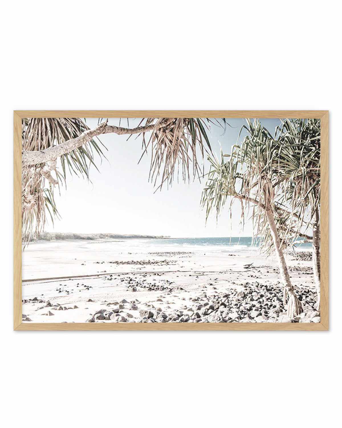 Mon Repos Beach, Bundaberg Art Print