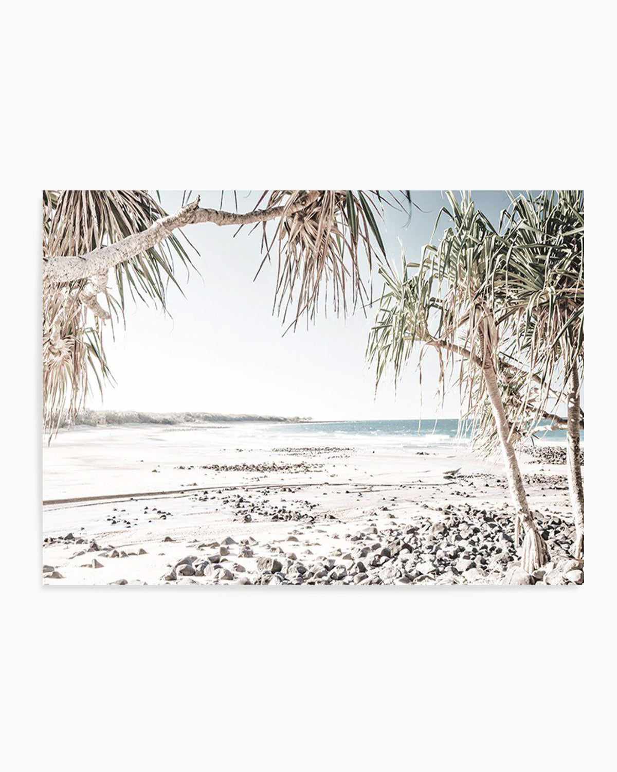 Mon Repos Beach, Bundaberg Art Print