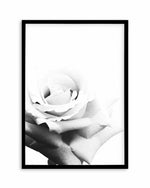 Monochrome Rose Art Print
