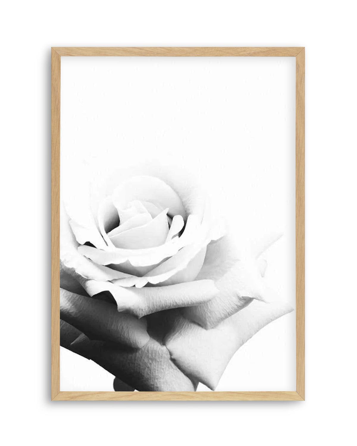 Monochrome Rose Art Print