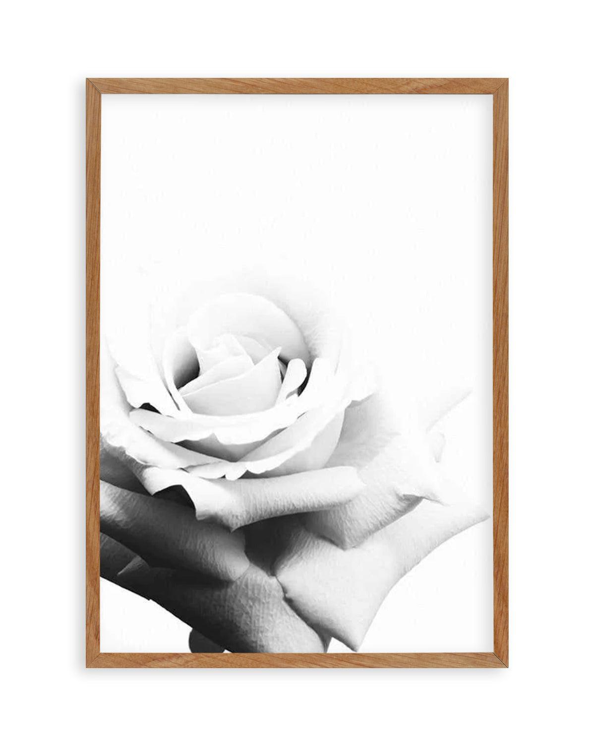 Monochrome Rose Art Print