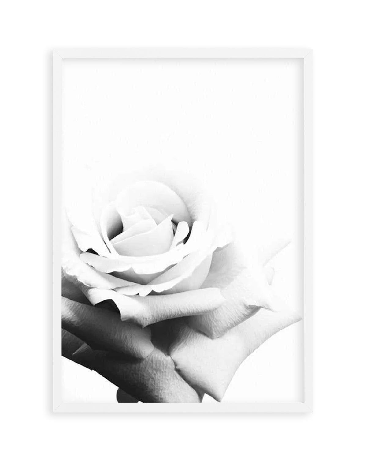 Monochrome Rose Art Print