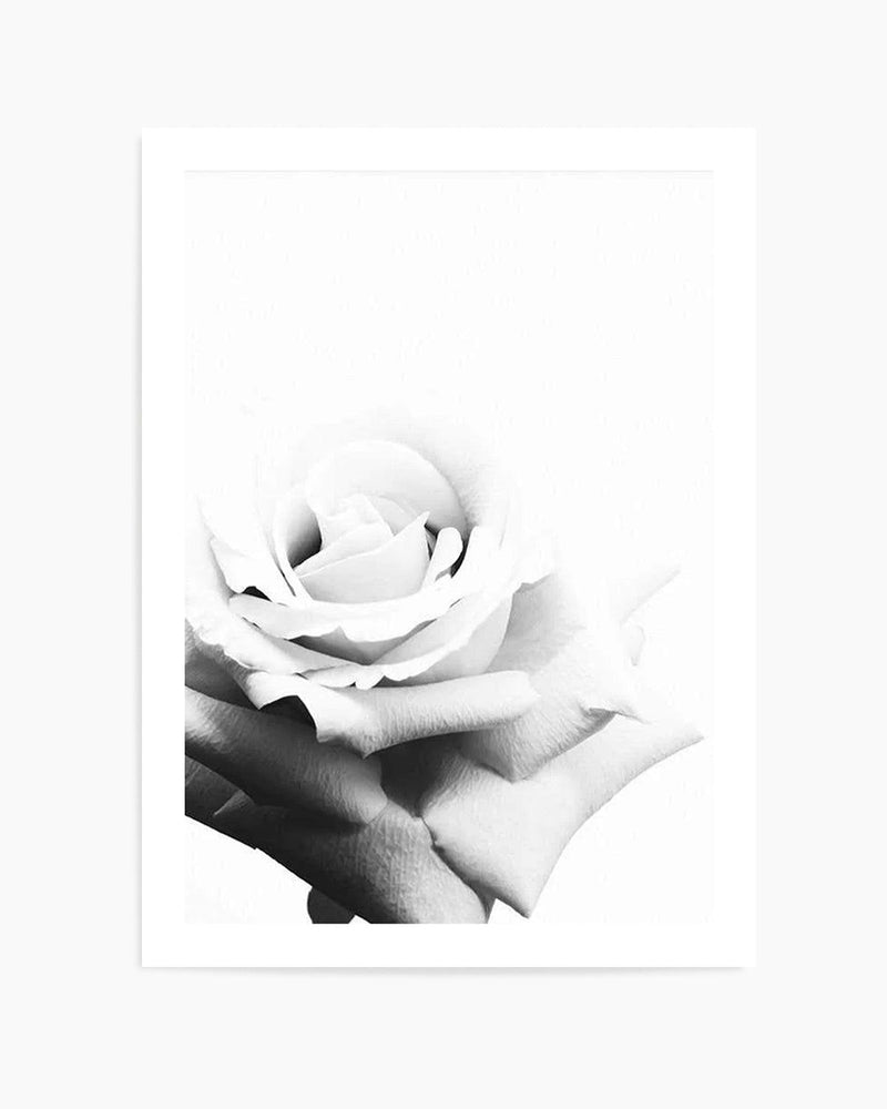 Monochrome Rose Art Print