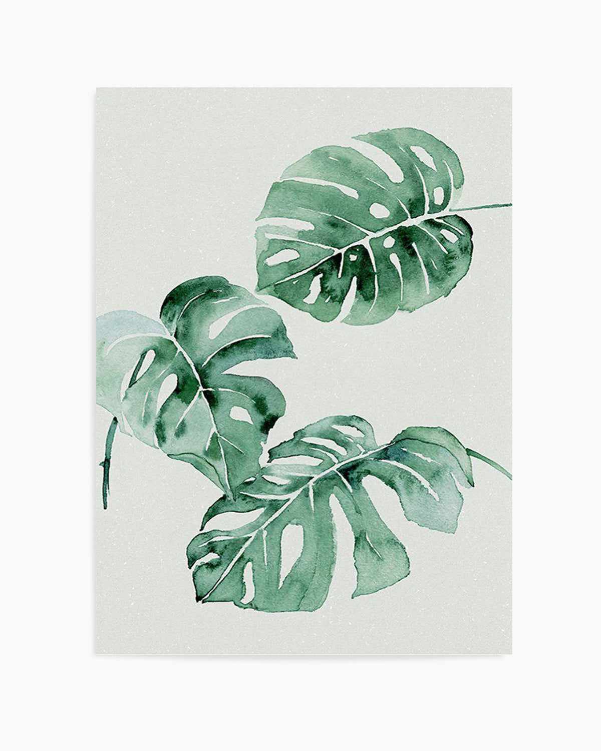 Monstera Abstract Watercolour Art Print