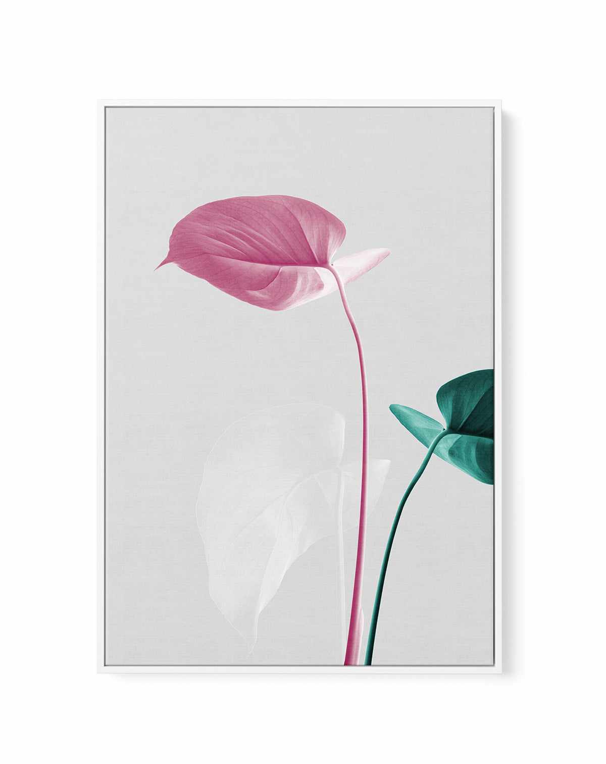 Monstera Creative 18 By Studio III | Framed Canvas Art Print