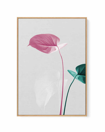 Monstera Creative 18 By Studio III | Framed Canvas Art Print from Olive et Oriel where you can shop wallpaper and artworks online