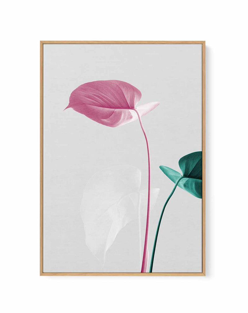 Monstera Creative 18 By Studio III | Framed Canvas Art Print