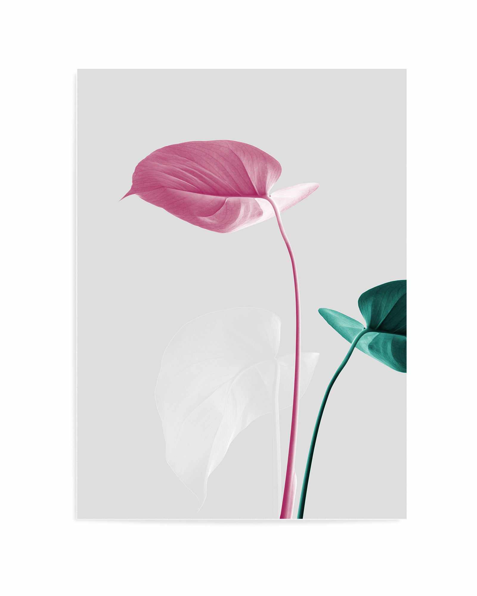 Monstera Creative 18 By Studio III | Art Print