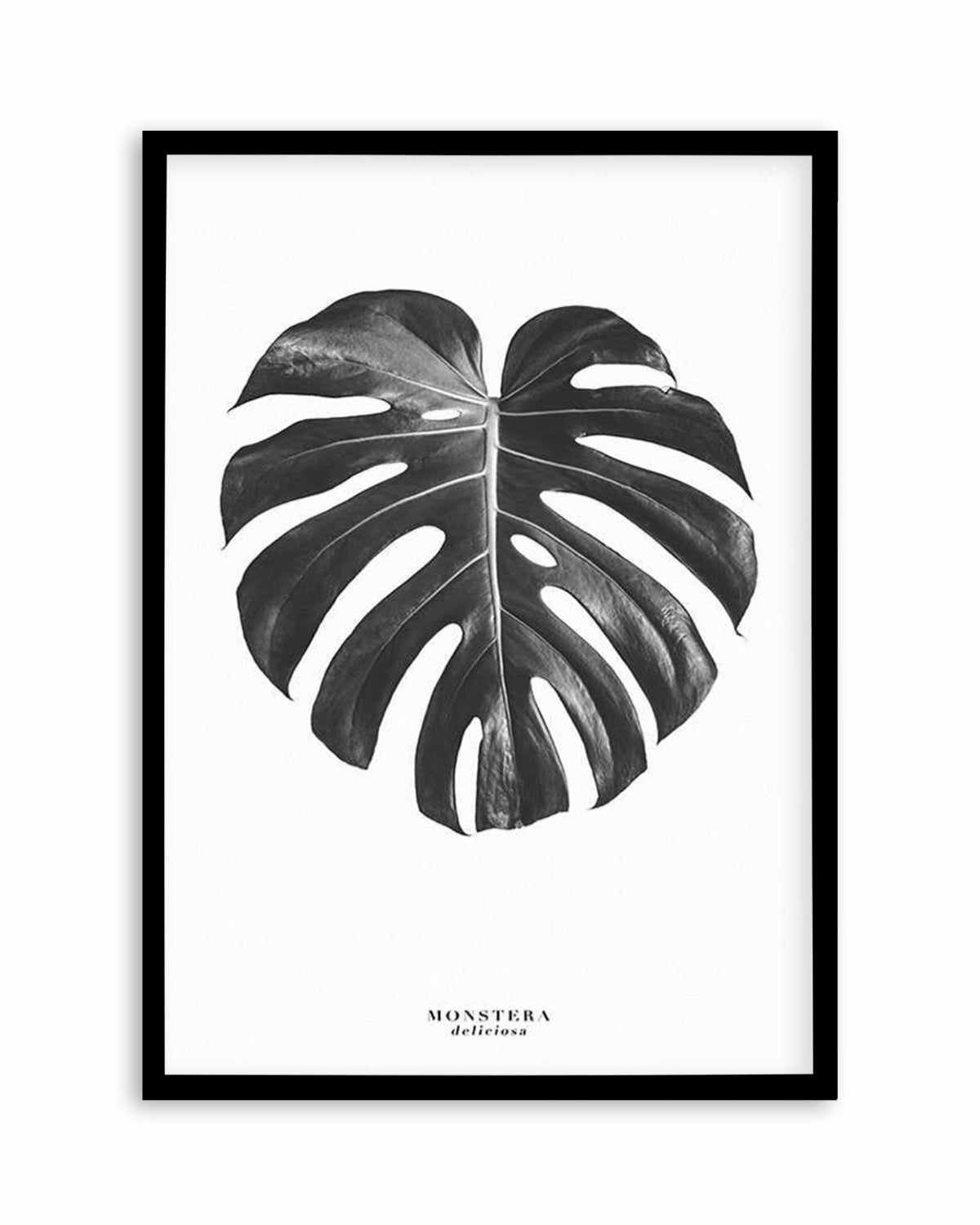 Monstera Deliciosa Art Print