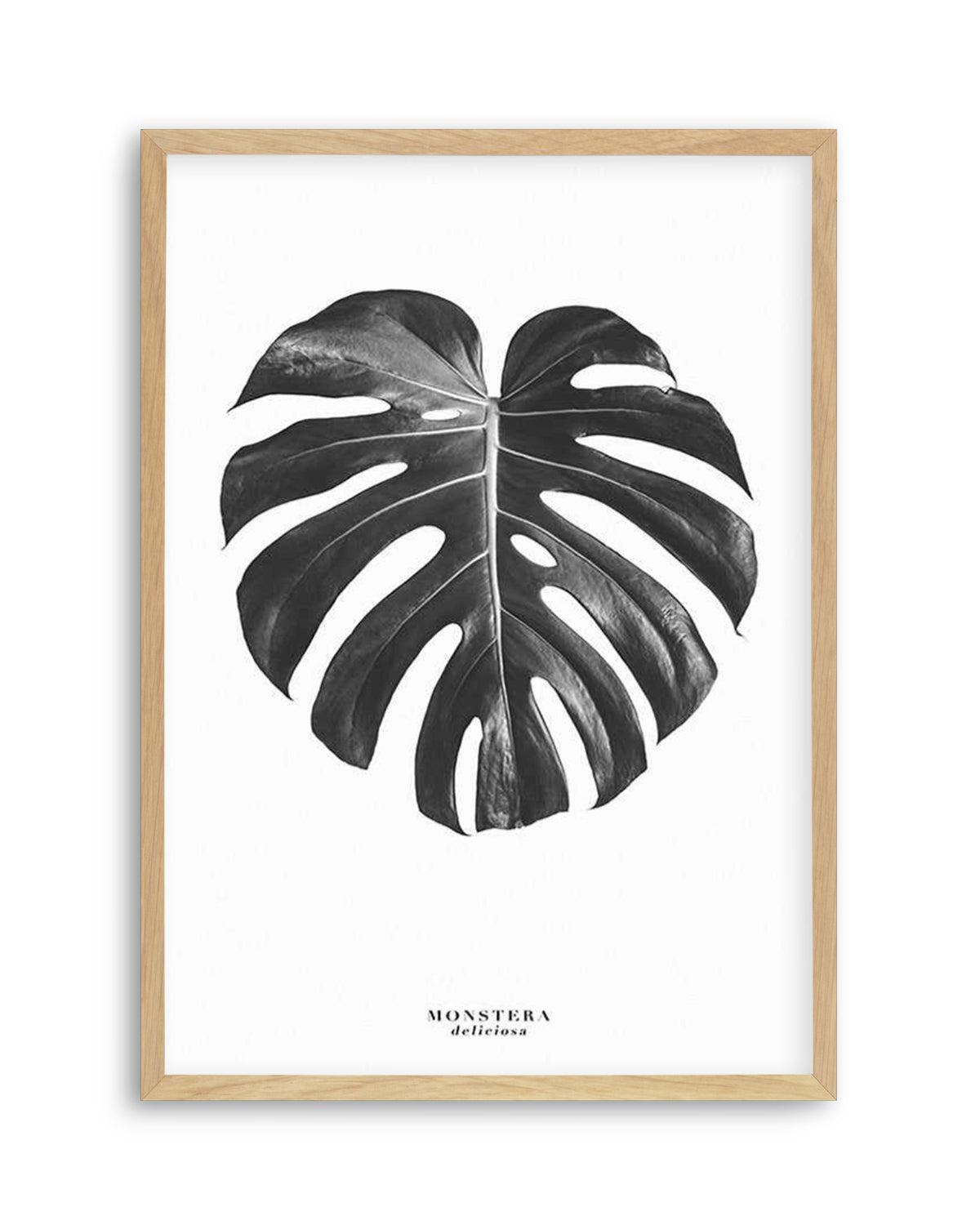 Monstera Deliciosa Art Print