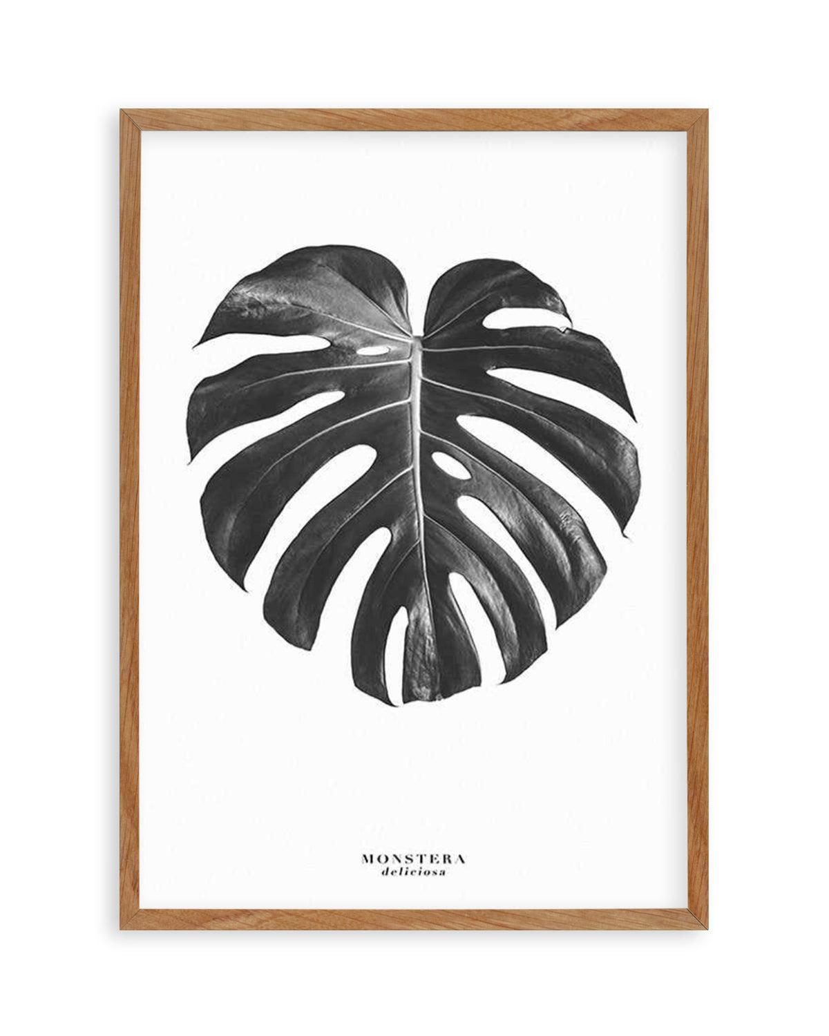 Monstera Deliciosa Art Print