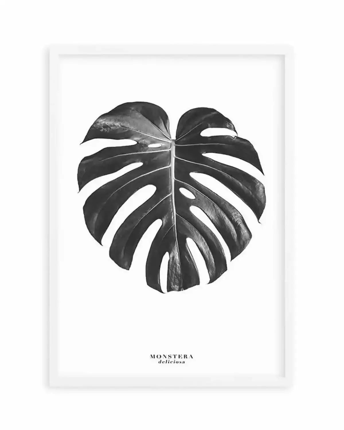 Monstera Deliciosa Art Print from Olive et Oriel where you can shop wallpaper and artworks online
