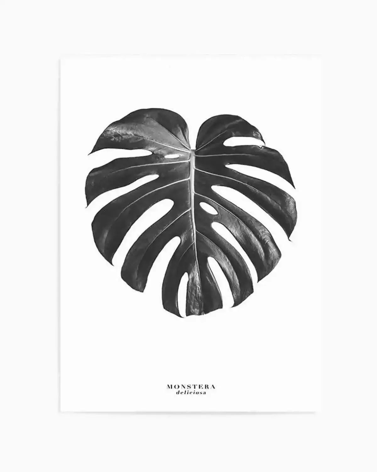Monstera Deliciosa Art Print from Olive et Oriel where you can shop wallpaper and artworks online