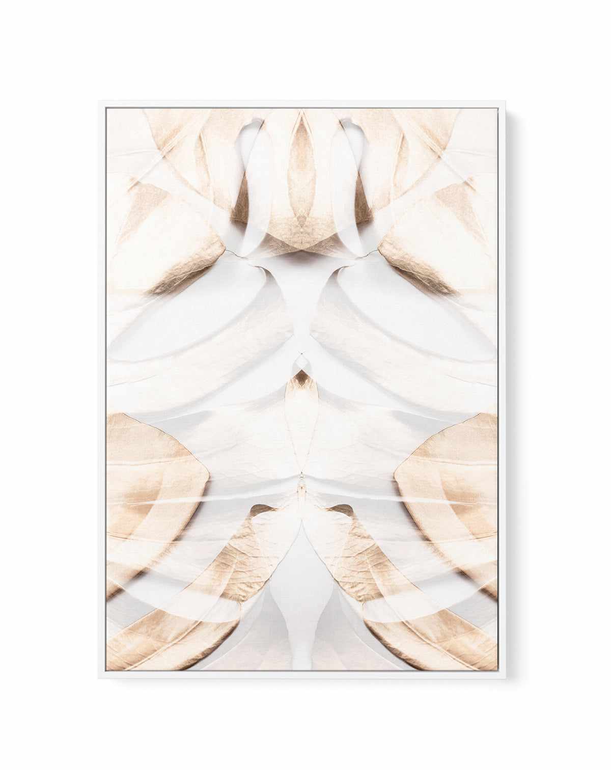 Monstera Gold 12 By Studio III | Framed Canvas Art Print