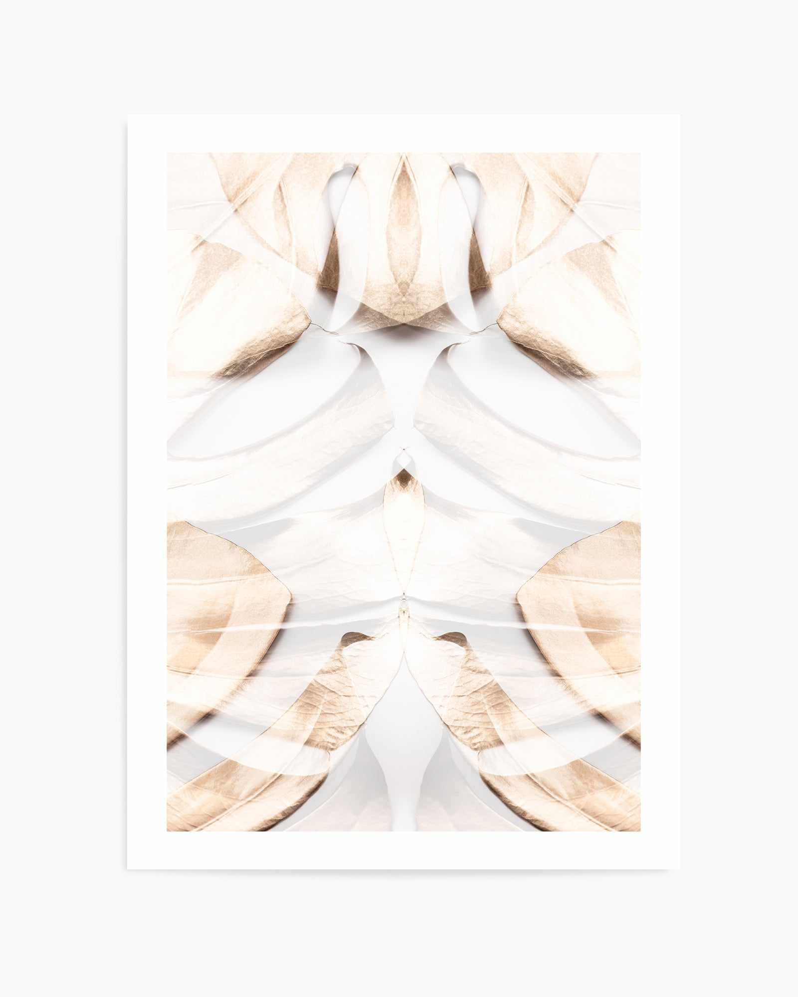 Monstera Gold 12 By Studio III | Art Print