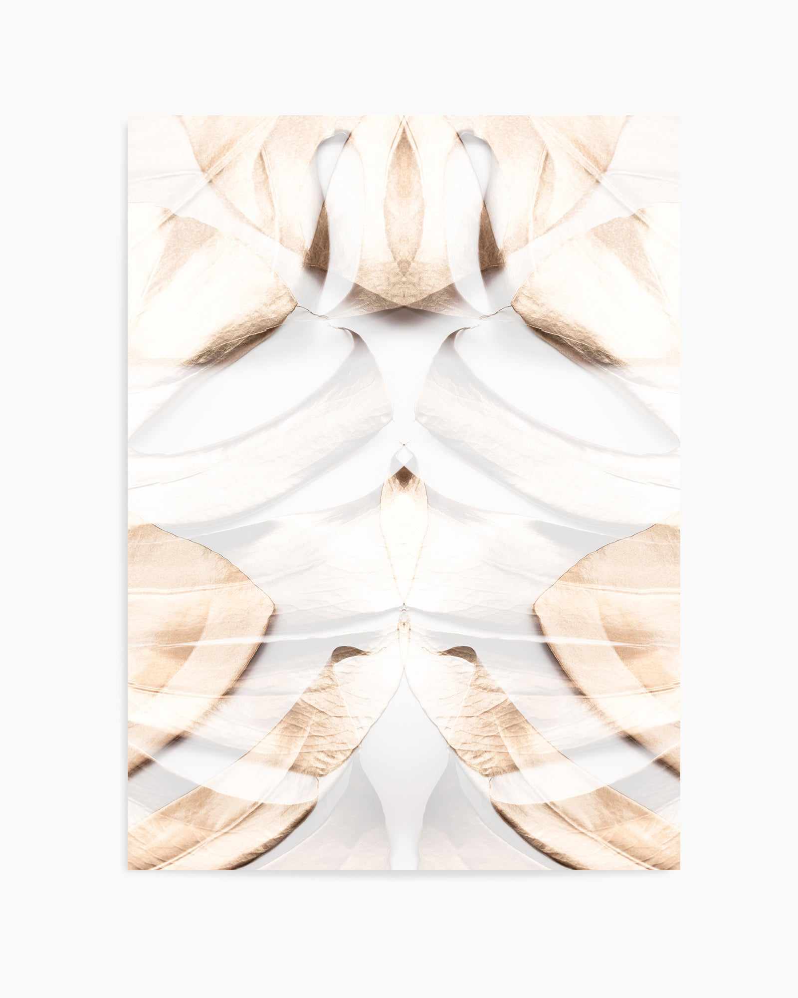 Monstera Gold 12 By Studio III | Art Print